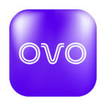 Ovo