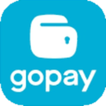 Go Pay 1.000